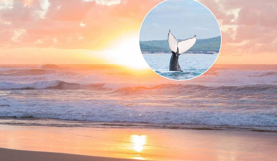 Why this ‘happy’ beach town is the ultimate winter escape just north of Brisbane