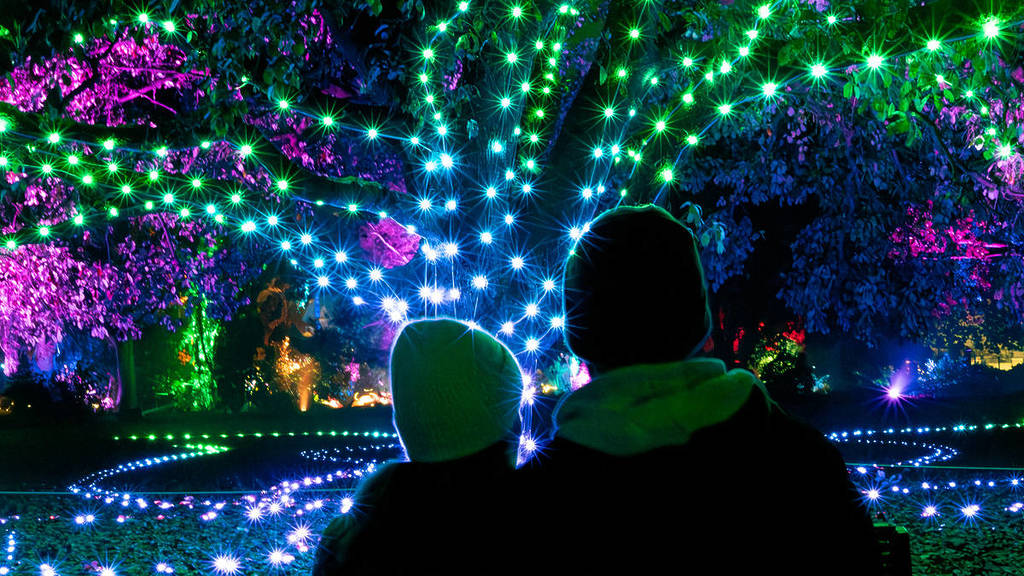 A couple visit Beyond - Every Path Leads Elsewhere. They gaze at a giant tree covered in green and blue lights. The path below the tree and the surrounding forrest are also lit up with coloured lights.