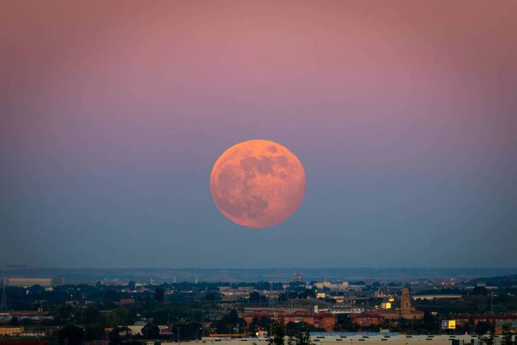 strawberry full moon