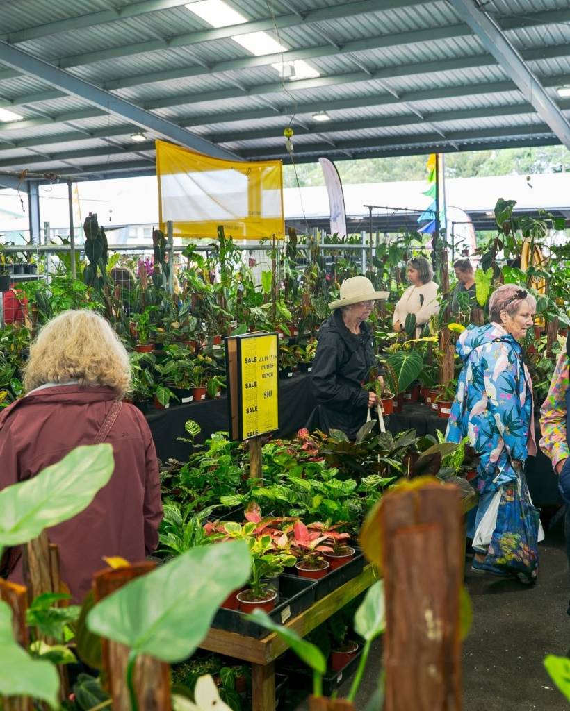 queensland garden show nursery