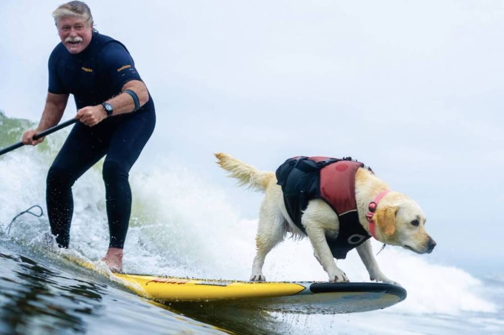 From jet skis to mountain hikes: This adorable dog film festival is coming to Brisbane