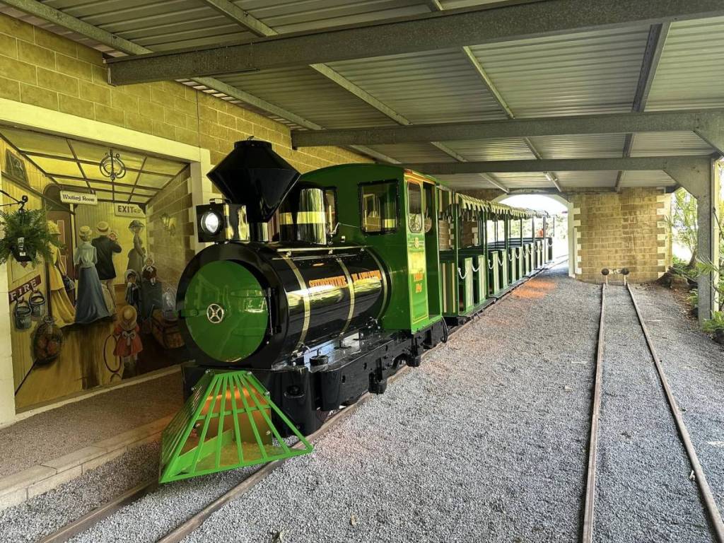 The Big Pineapple train nambour