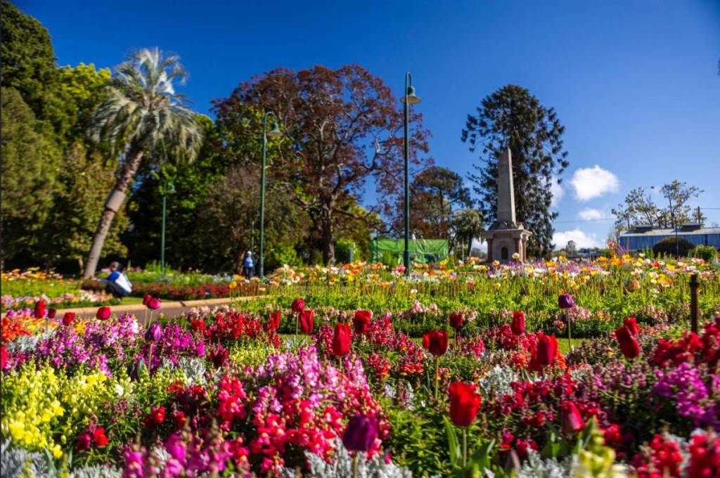 queens park toowoomba carnival of flowers