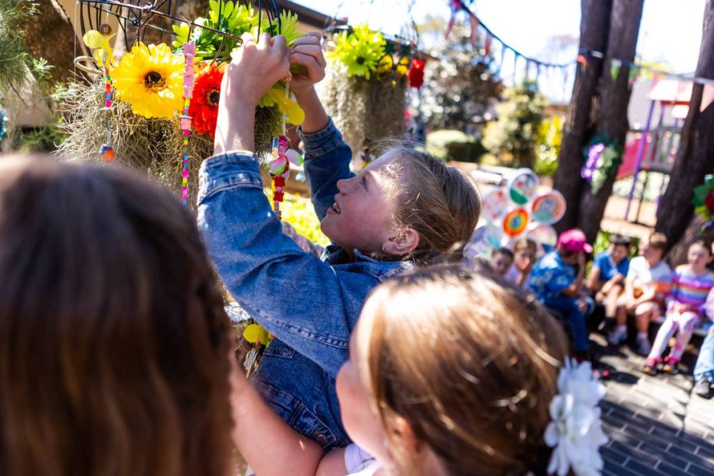 floral friday carnival of flowers toowoomba