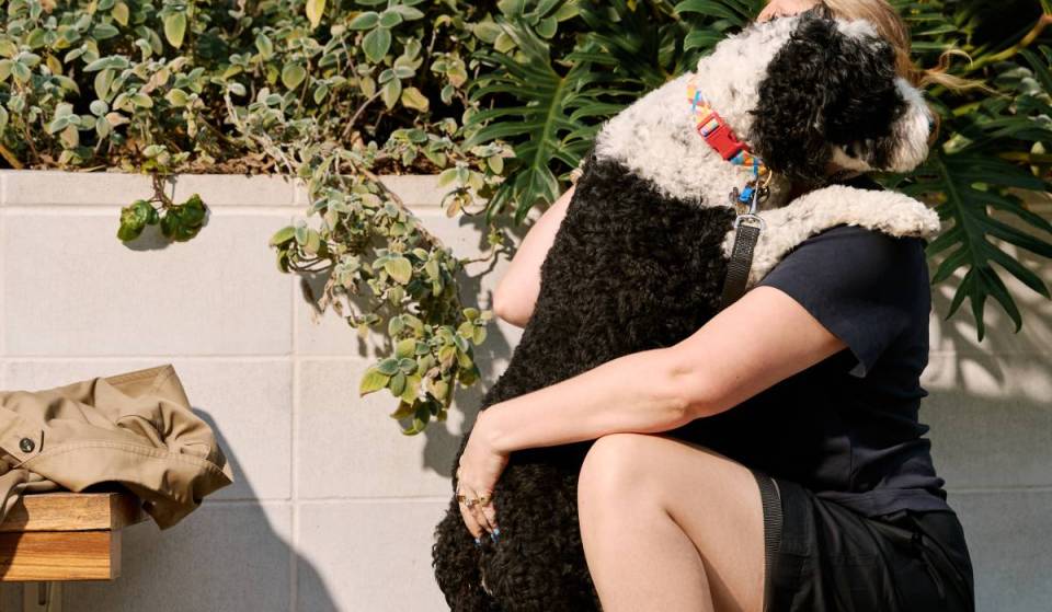 This chic suburb is throwing a giant waterfront puppy party with free coffee, puppacinos, live music, and $150 goodie bags