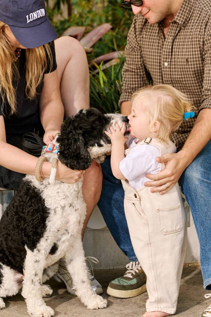 Portside Wharf’s Puppy Party