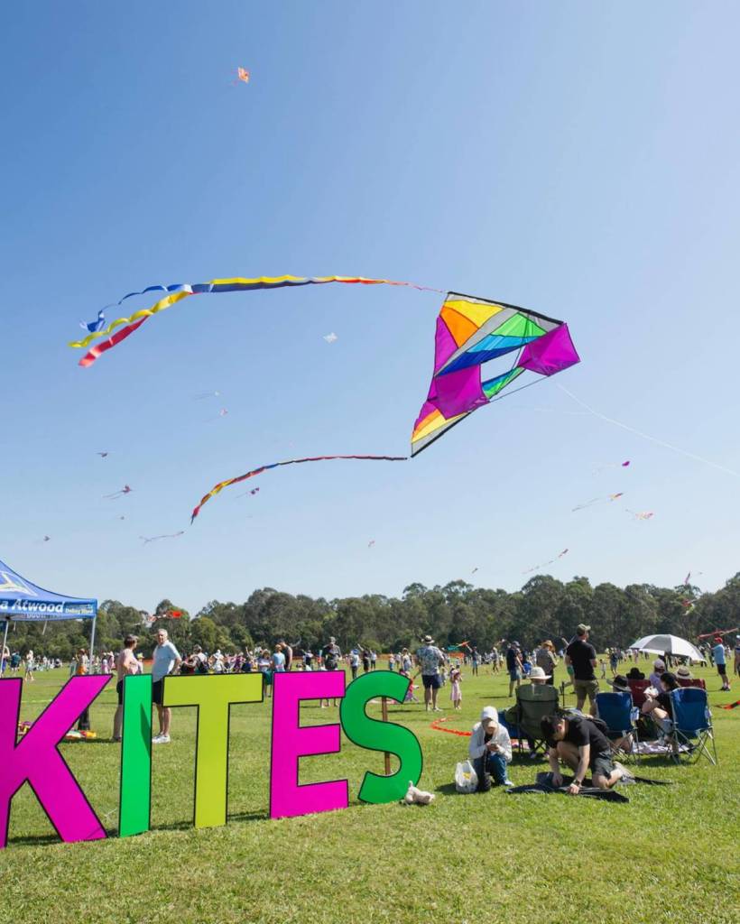 brisbane kite festival