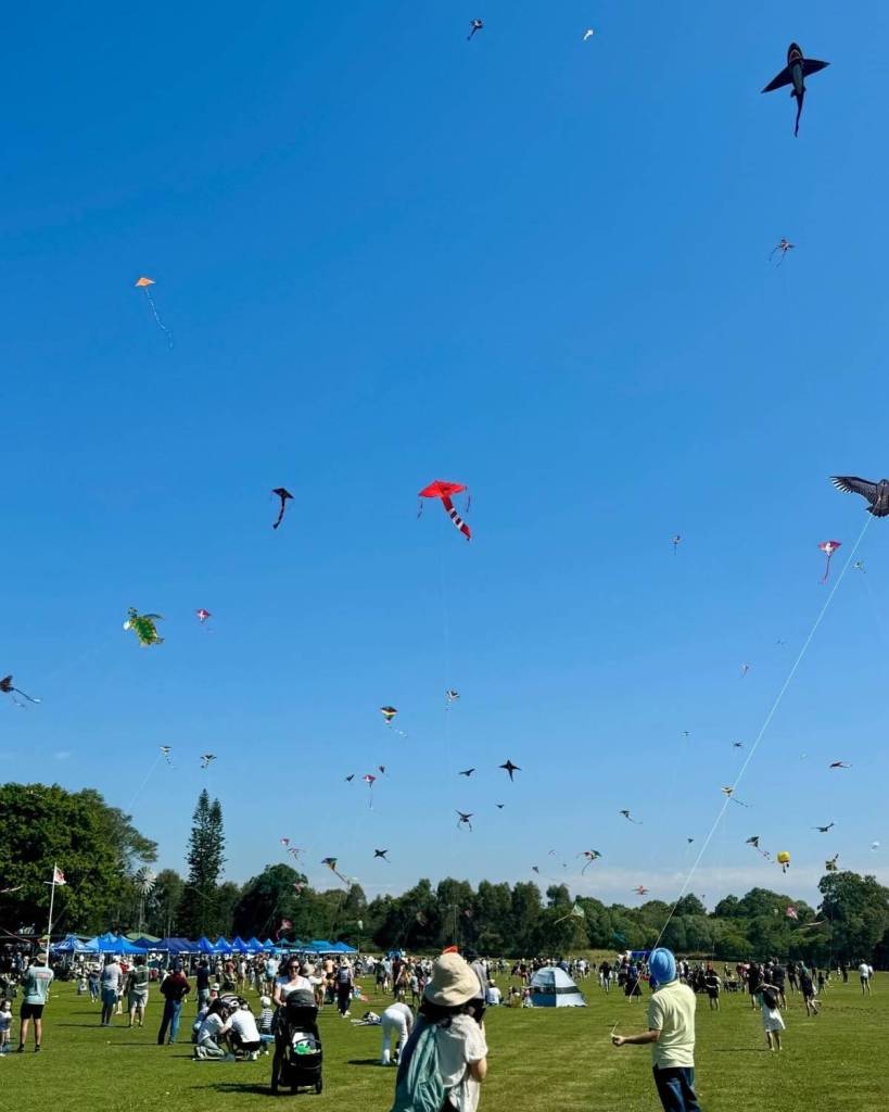 brisbane kite festival