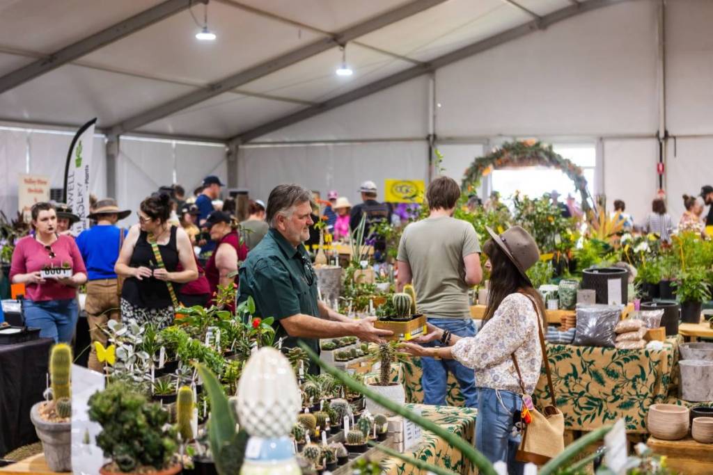 Laidley Spring Festival garden precinct