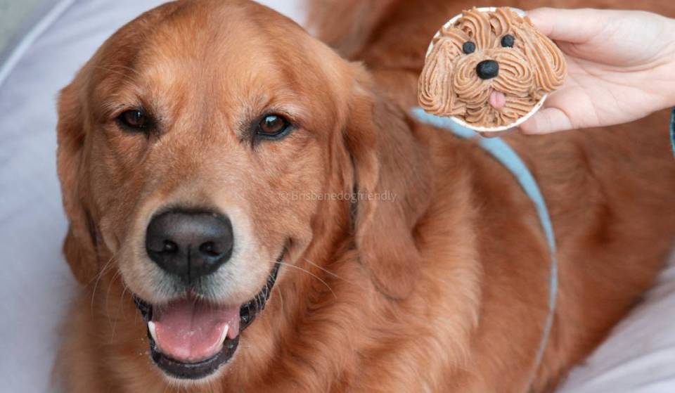 A women-only Pupcake &amp; Sip event is coming to Wynnum – featuring custom dog cupcake decorating, boutique wine, charcuterie and dedicated dog nannies