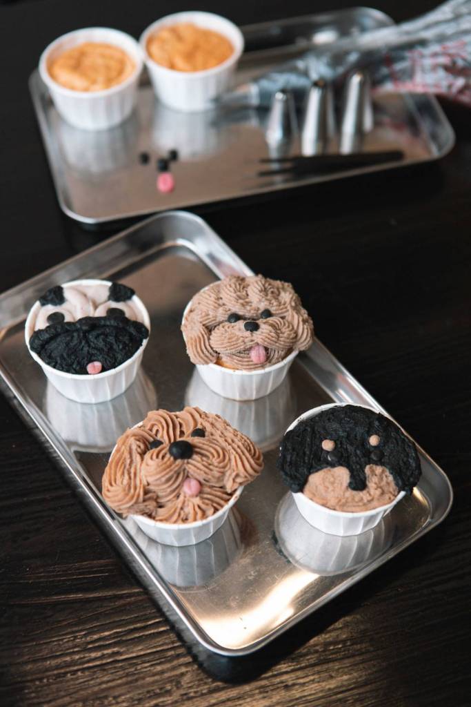 pupcake and sip brisbane Women-Only Dog Club