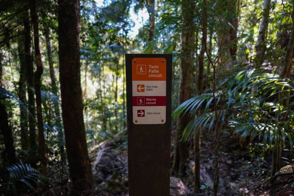 twin falls circuit springbrook national park