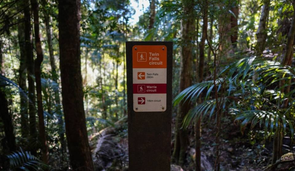This 4km trail near Brisbane is the most scenic spring hike in QLD – with waterfalls and lush rainforest scenery
