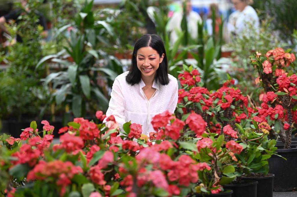 plantapalooza brisbane markets