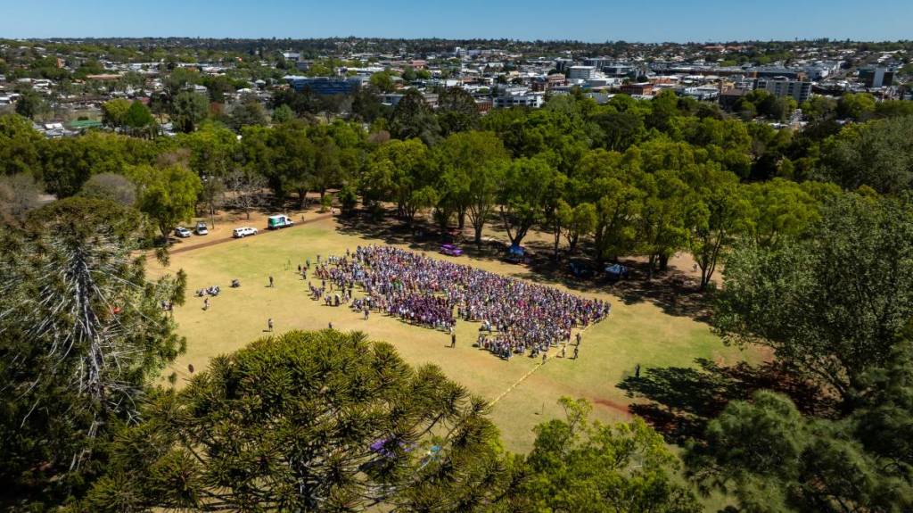 toowoomba floral Friday violet world record