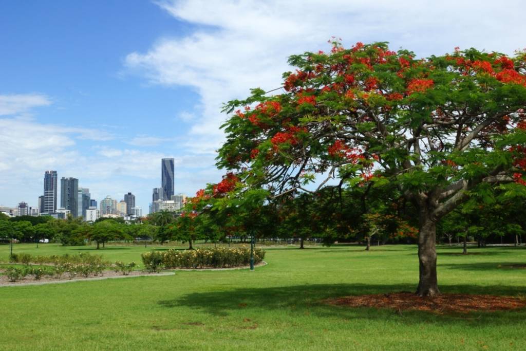 new farm park brisbane