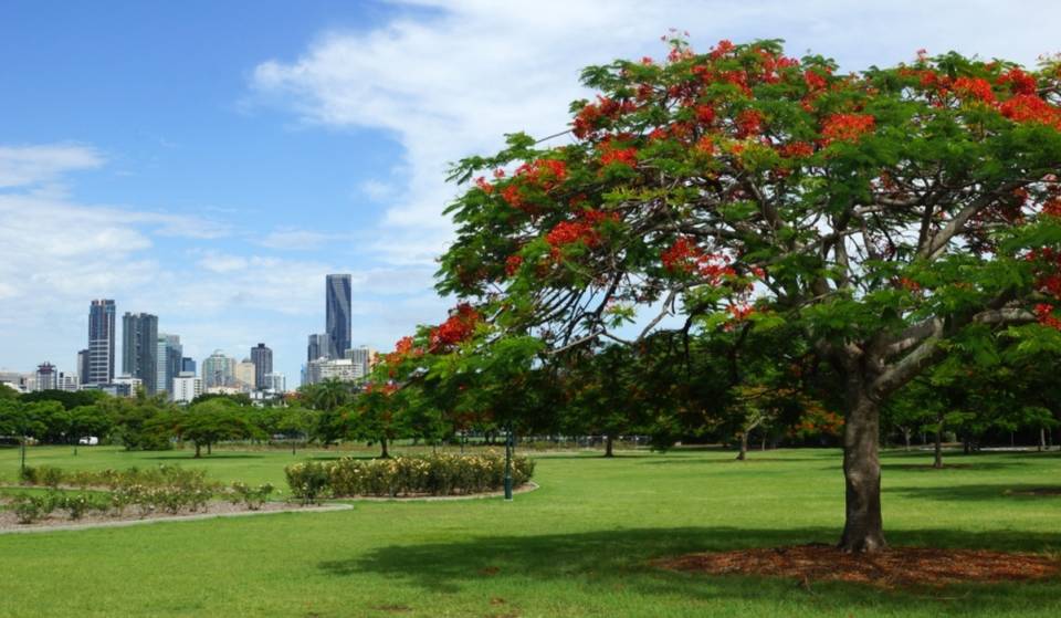 Ranked above neighbourhoods in Paris and London, this iconic Brisbane suburb was just named the coolest in Australia