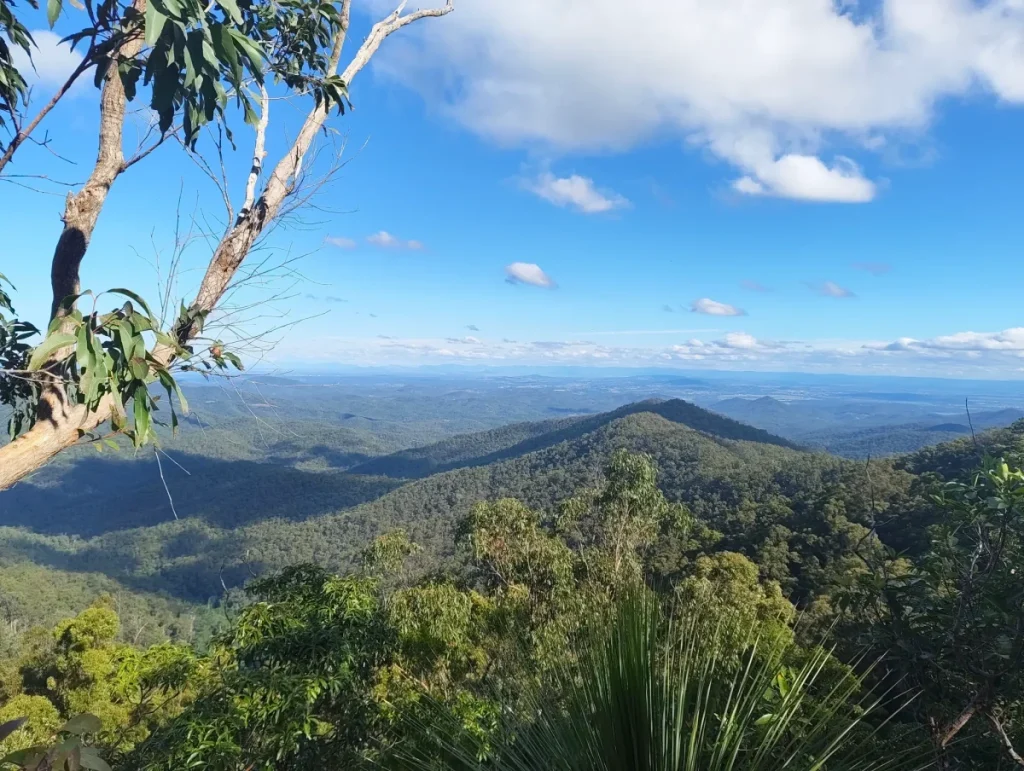 northbrook mountain daguilar national park