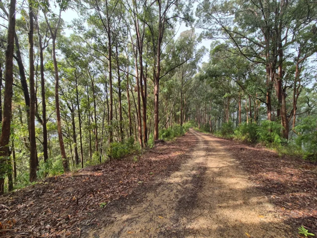 northbrook mountain daguilar national park