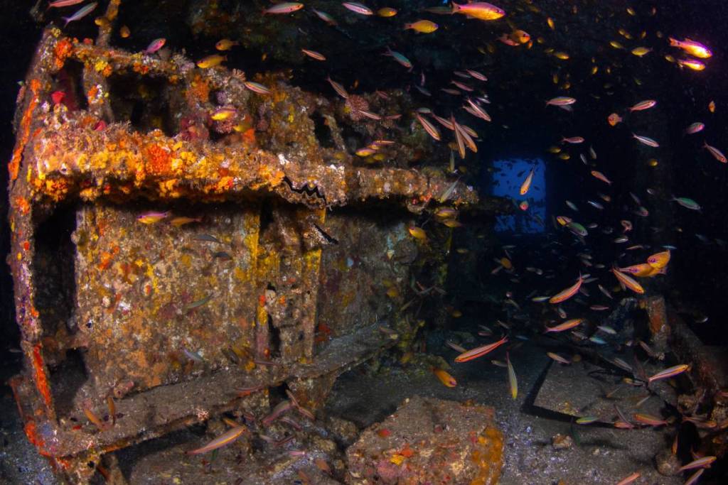 hmas brisbane artificial reef