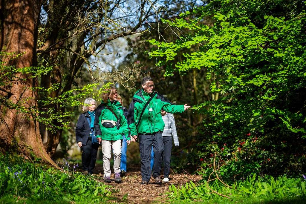 Spring in Westonbirt-Arboretum