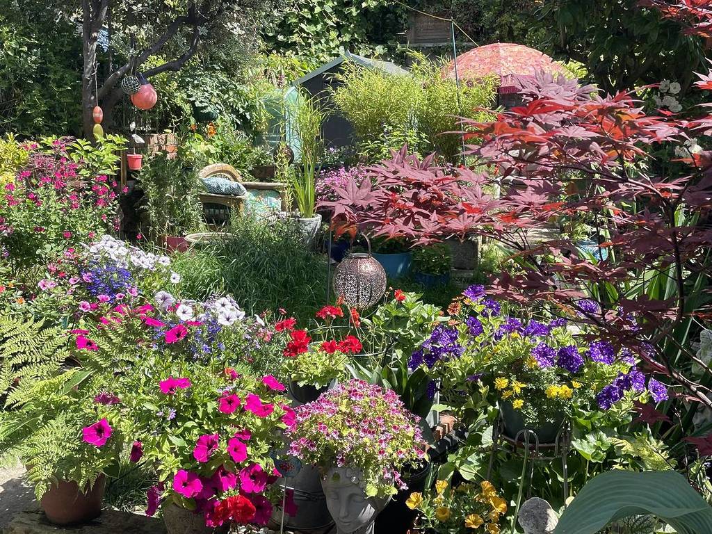 Bedminster garden