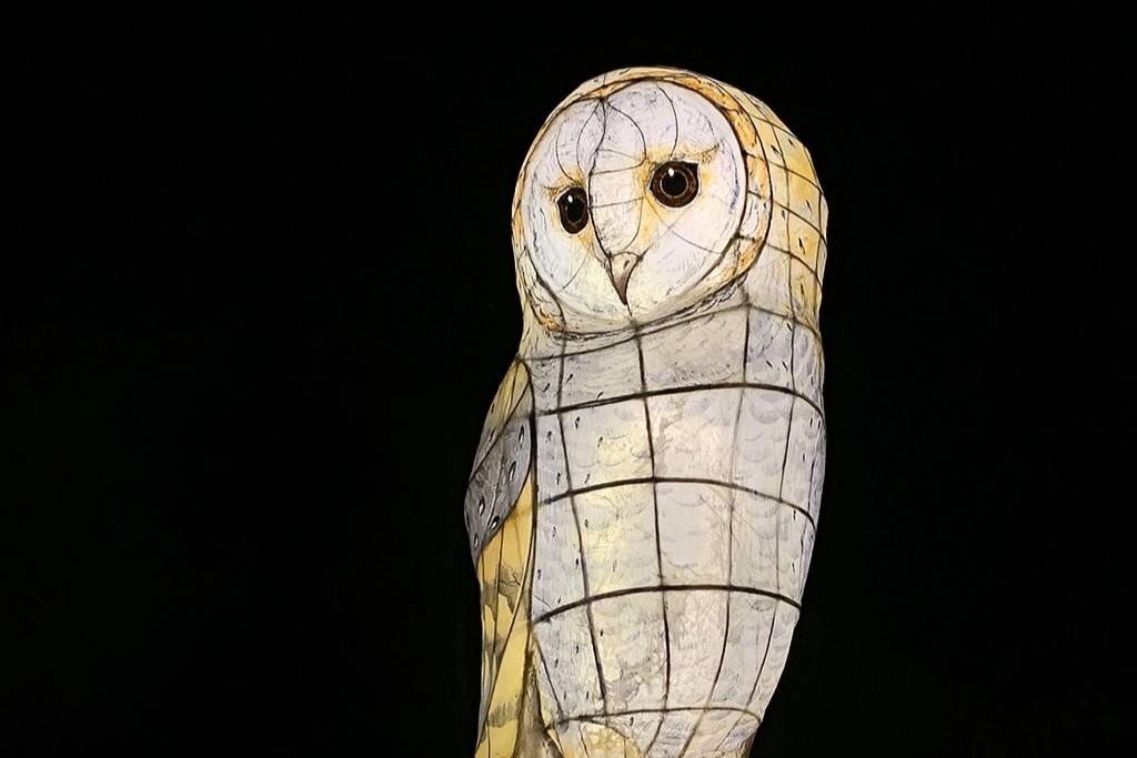 A barn owl lantern