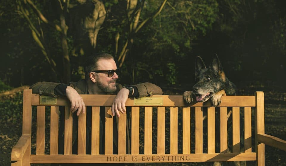 Netflix Has Donated A Mental Health Bench To This Bristol Park As Part Of The Release Of ‘After Life’