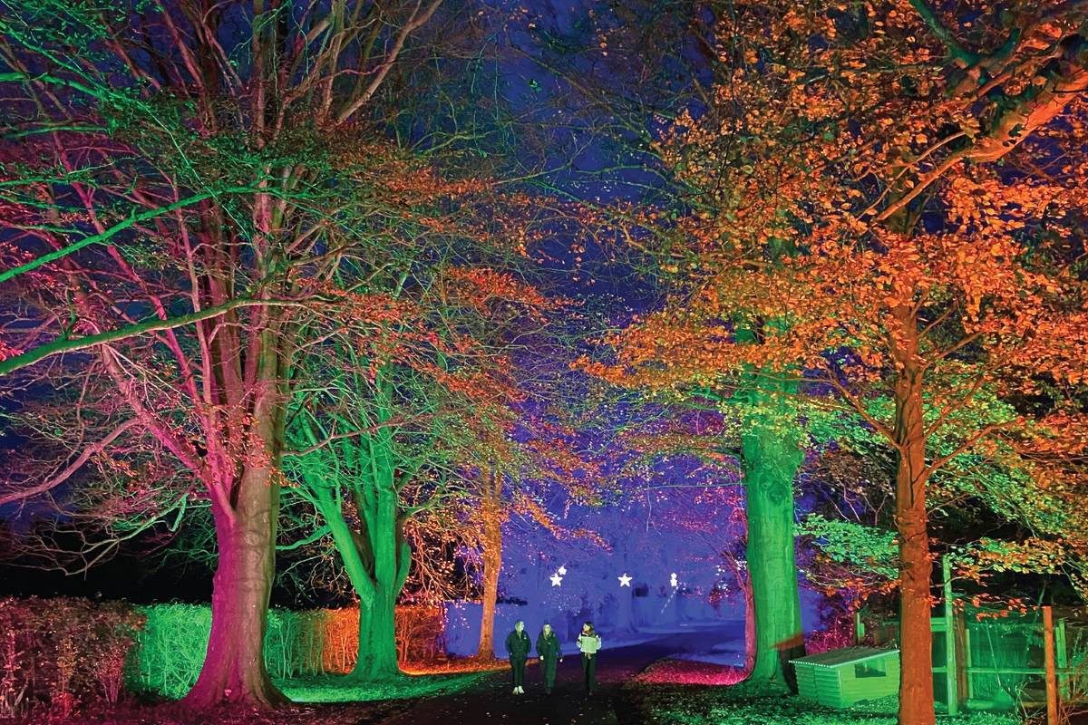 Illuminated Trail at Old Down Estate