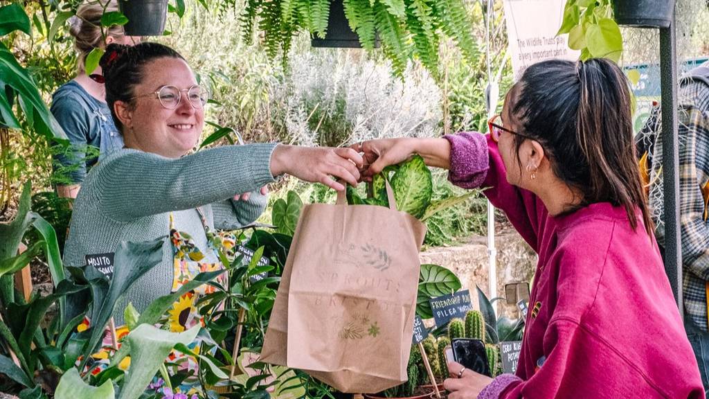 Winfdmill Hill Market