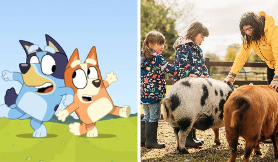 Your Little Ones Can Meet Bluey & Bingo In Bristol This May