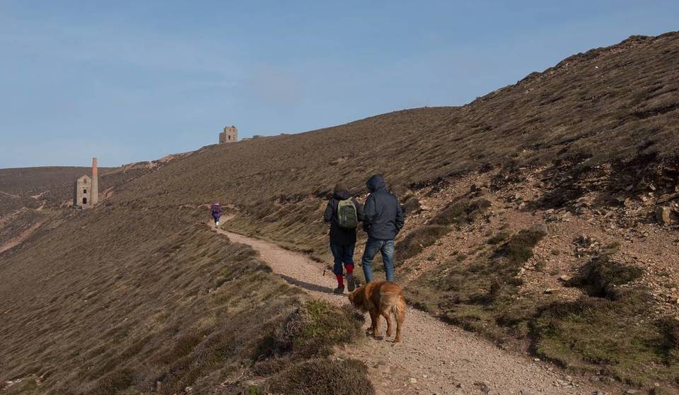 This South West Dog-Friendly Walk Has Been Voted The Best In The UK