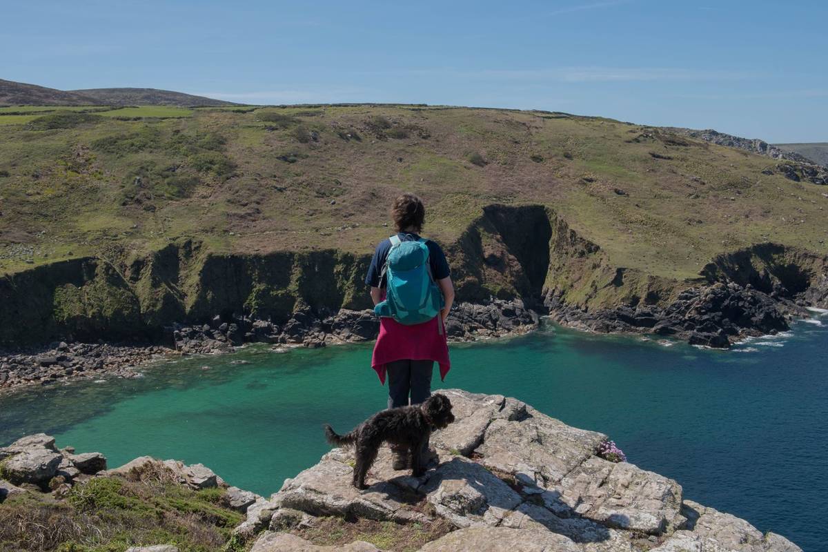 Female Walker and her Black Schnoodle Dog Admiring the View of Porthmeor Cove and the Atlantic Ocean on the South West Coast Path between Zennor and Pendeen Watch on a Sunny Spring Day
