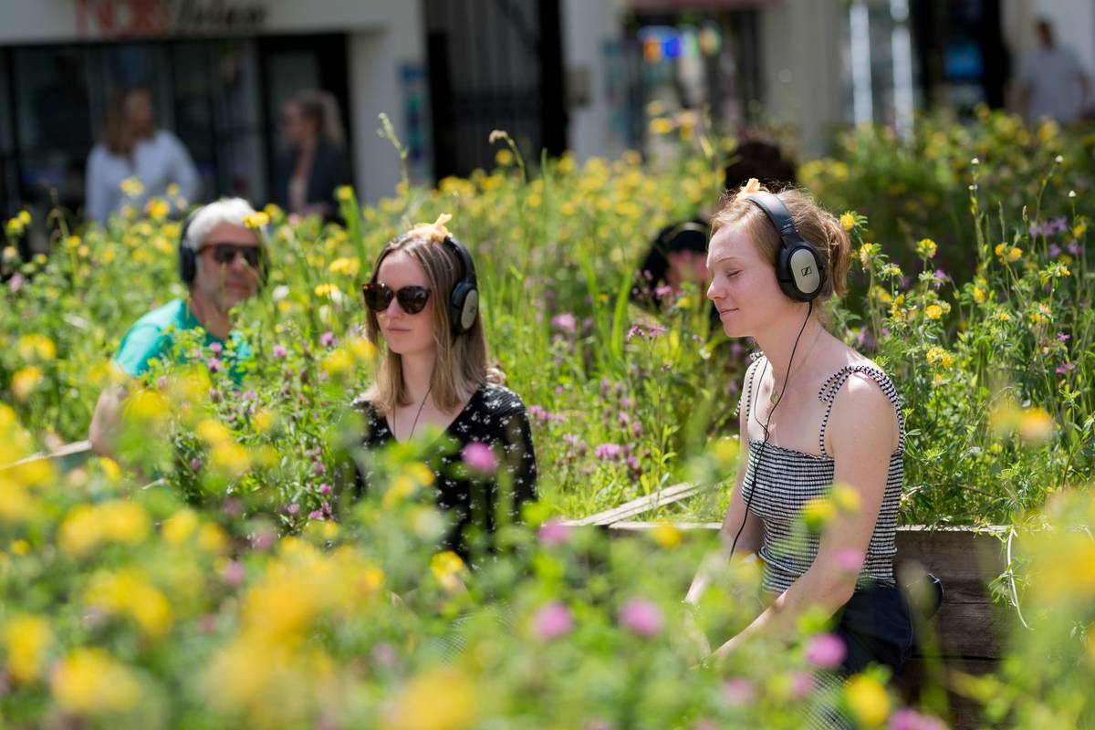 A group of people sitting in a meadow in Broadmead