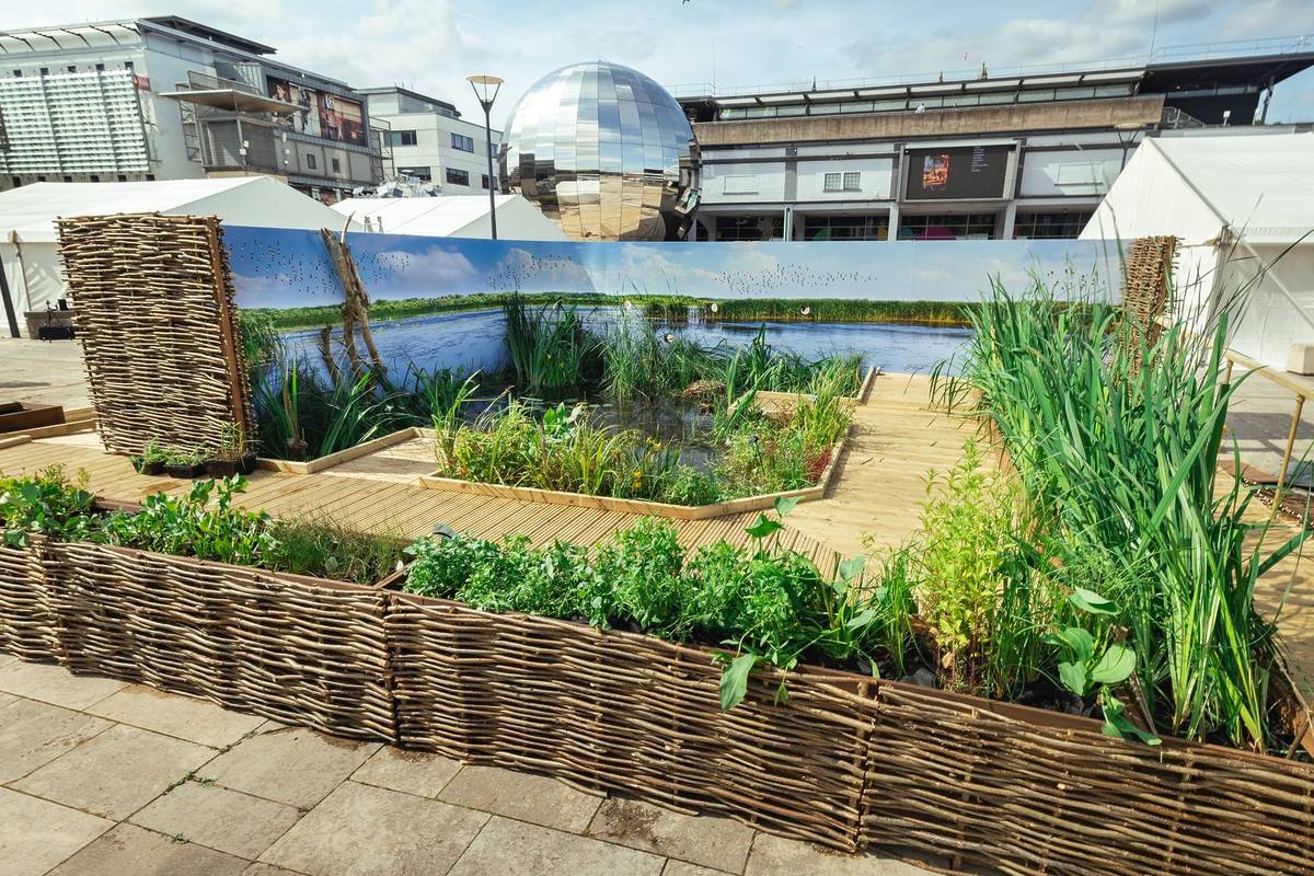 Completed popup wetland close up 11 June 2025