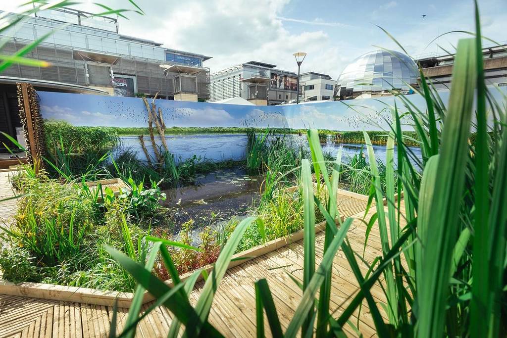 Inside the wetland looking out 11 June 2025