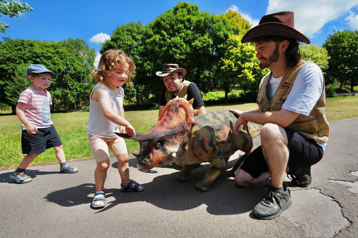 Animatronic triceratops at Avon Valley Adventure Park