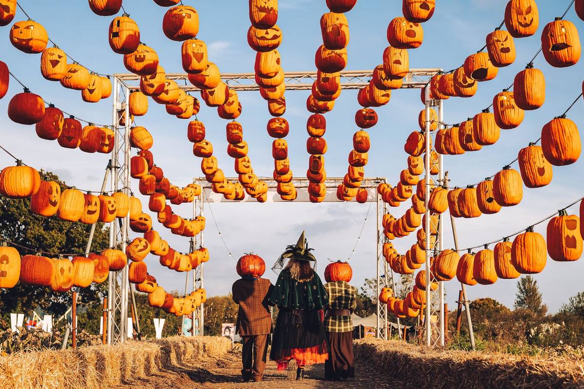 Avon Valley Pumpkin Patch