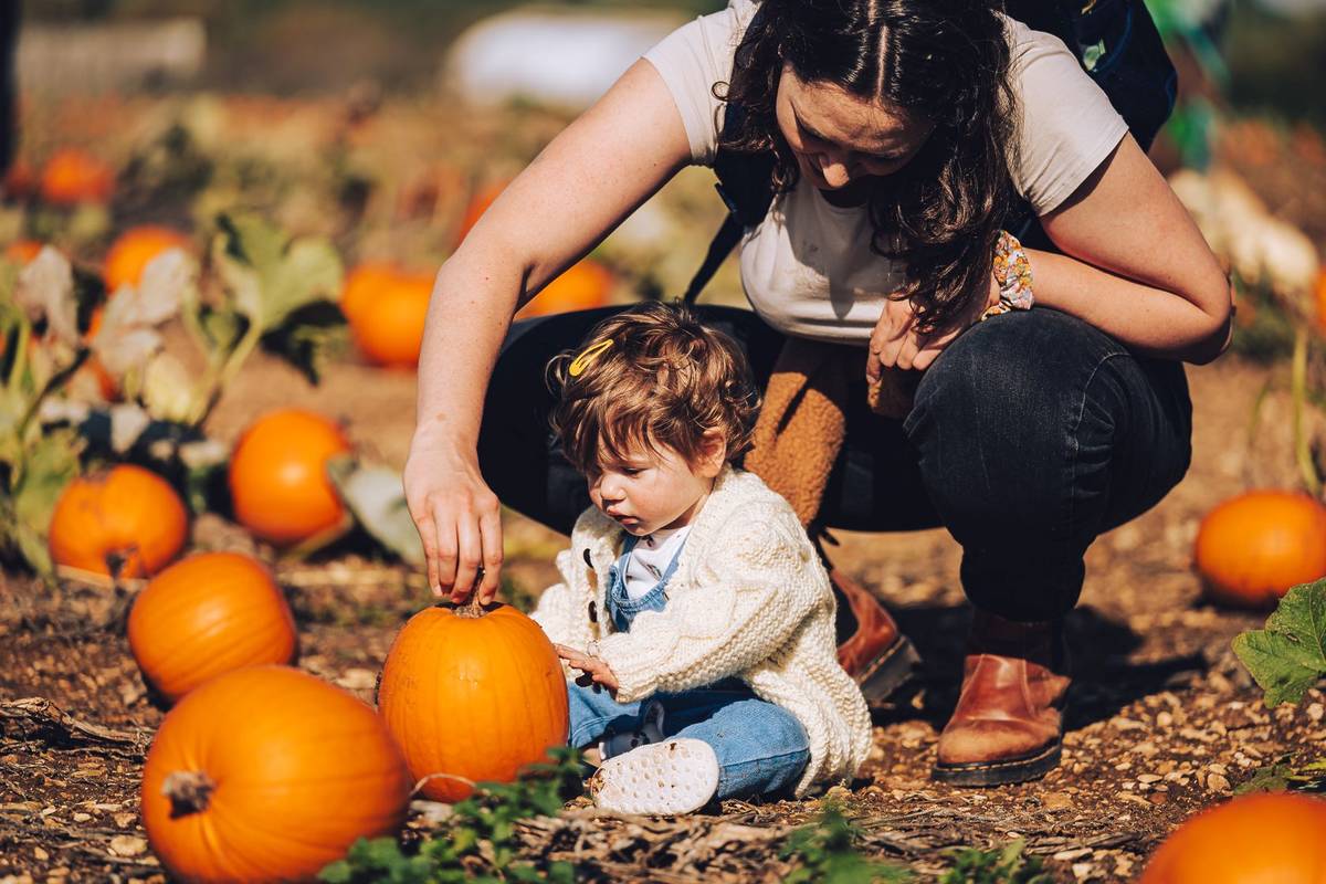 A child with mother sat in a pumpkin patch