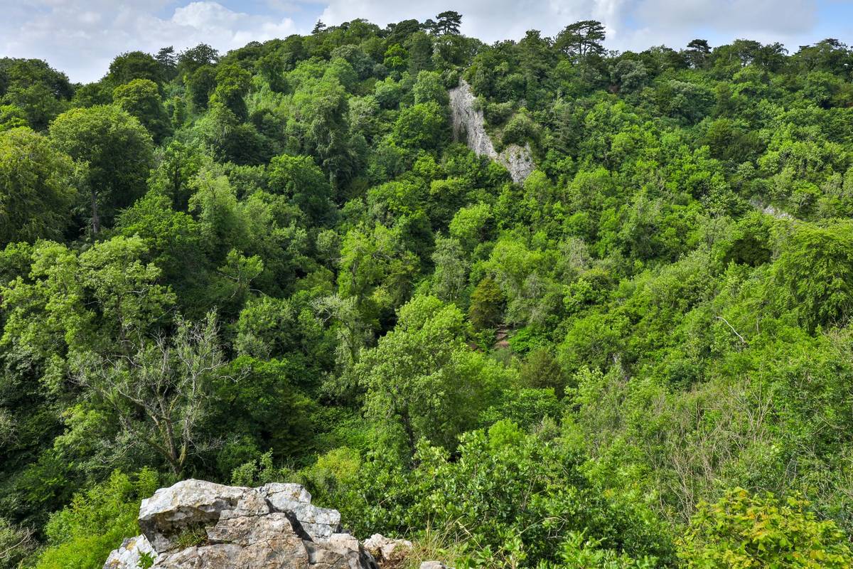 Scenic view from the Goram's Chair to the Goram valley on the King Weston Hill in the Blaise Castle Estate. Bristol, UK