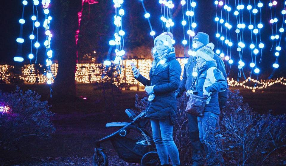 This Immersive, Mile-Long Light Trail Worthy Of A King Is Set To Give Bristol’s Ashton Court A Glow-Up This Winter 