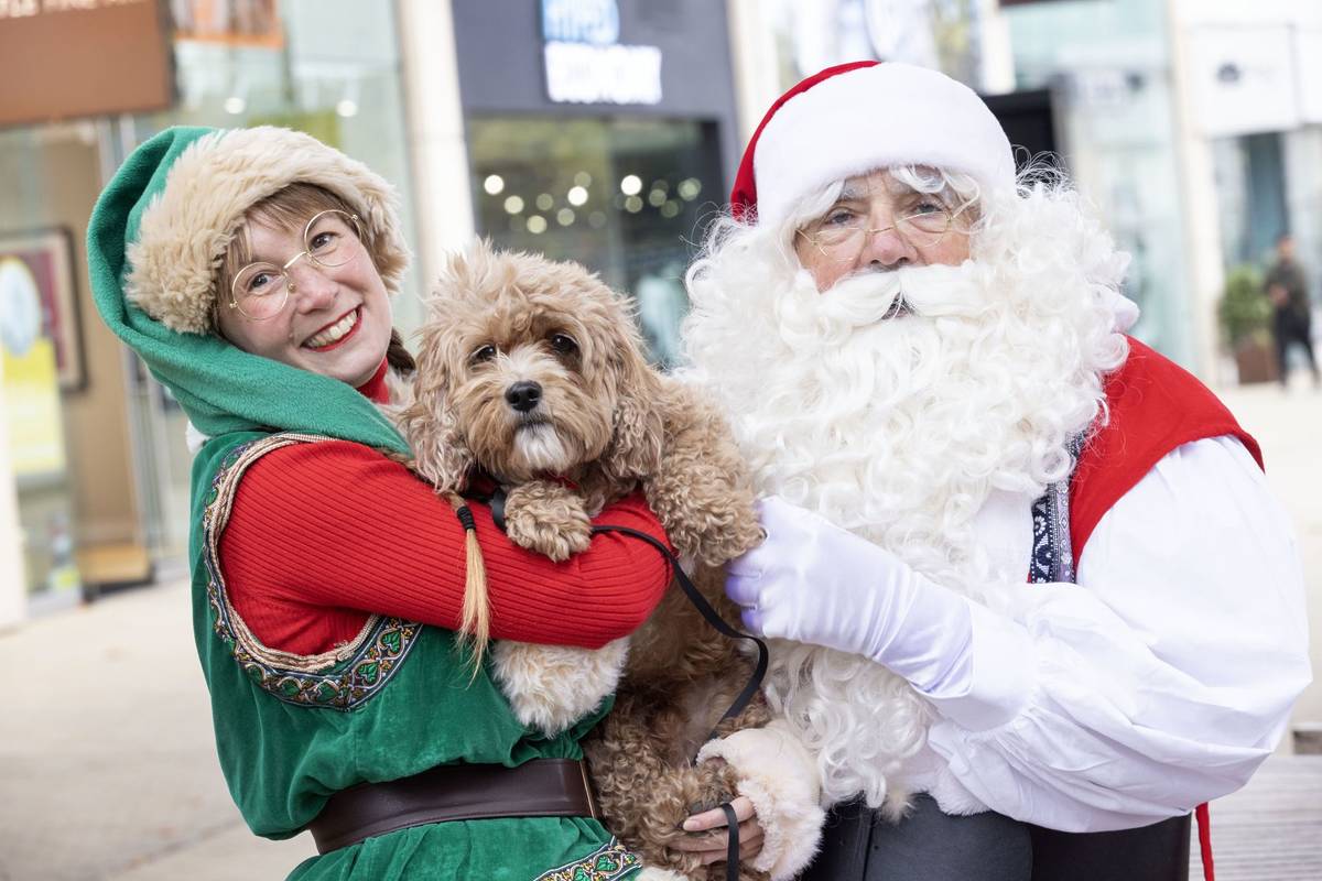 An elf, a dog and Santa