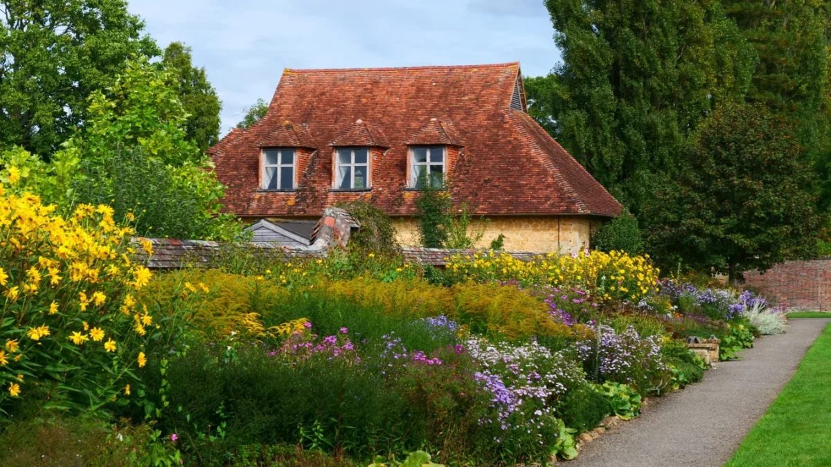 The Herbaceous border in bloom at Barrington Court | © Hilary Daniel, National Trust
