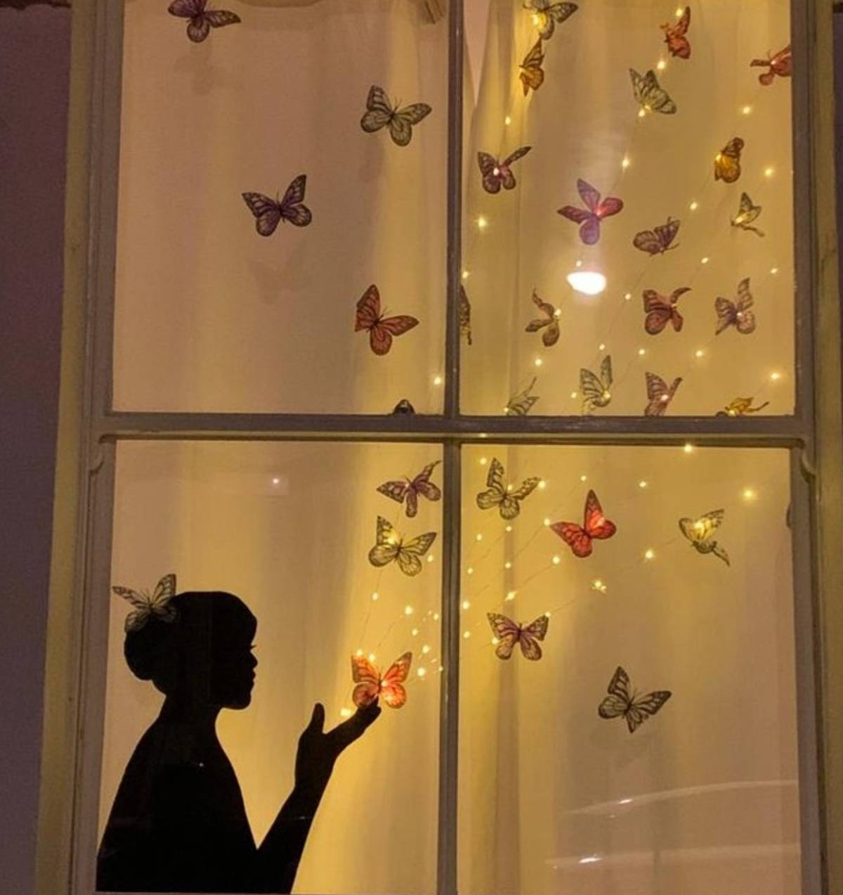A window full of butterflies