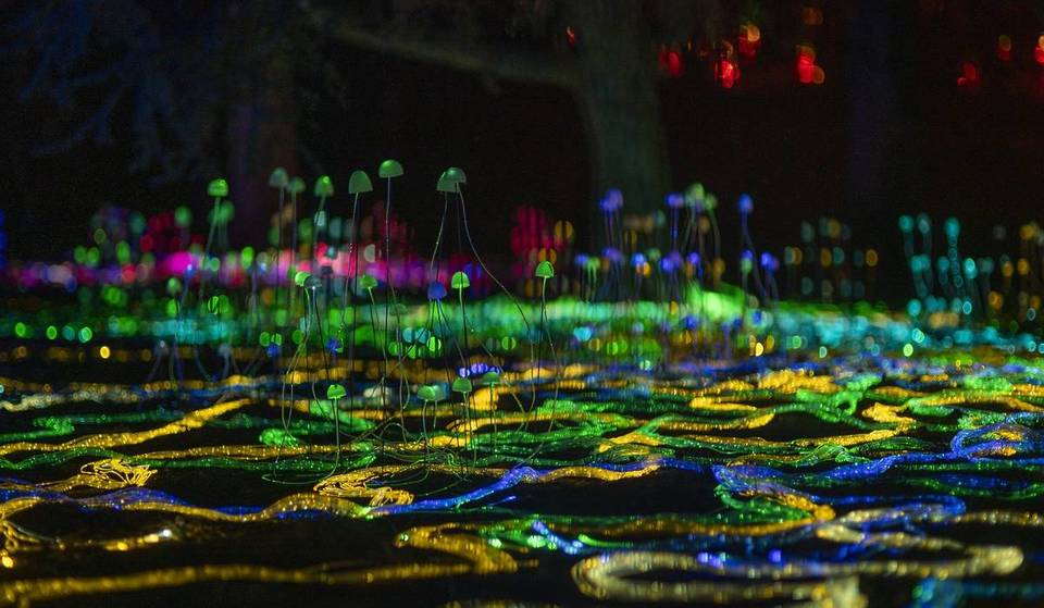This Enchanting Illuminated Trail Just 40 Minutes From Bristol Is Back – Featuring A Glowing Mushroom Network And Giant Wicker Animals