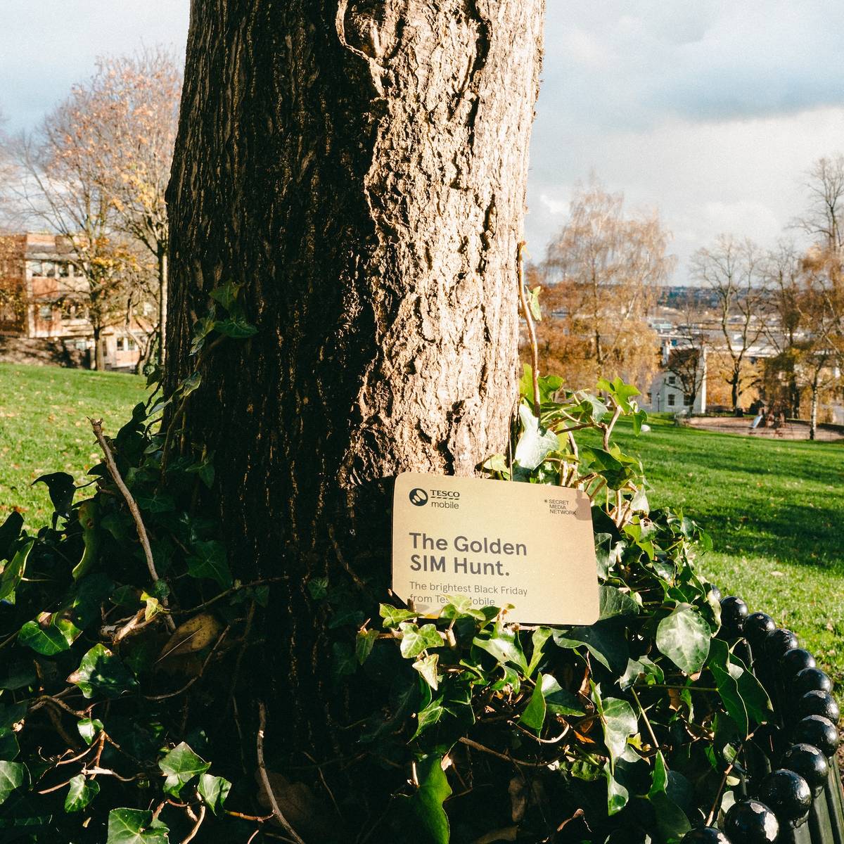a tesco mobile golden sim card hidden by a tree in a bristol park area