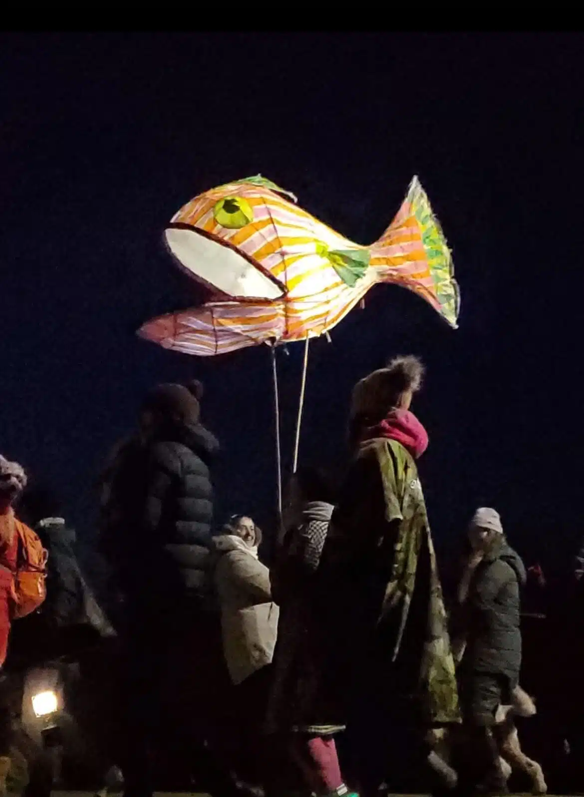 Light Up The Lake fish lantern