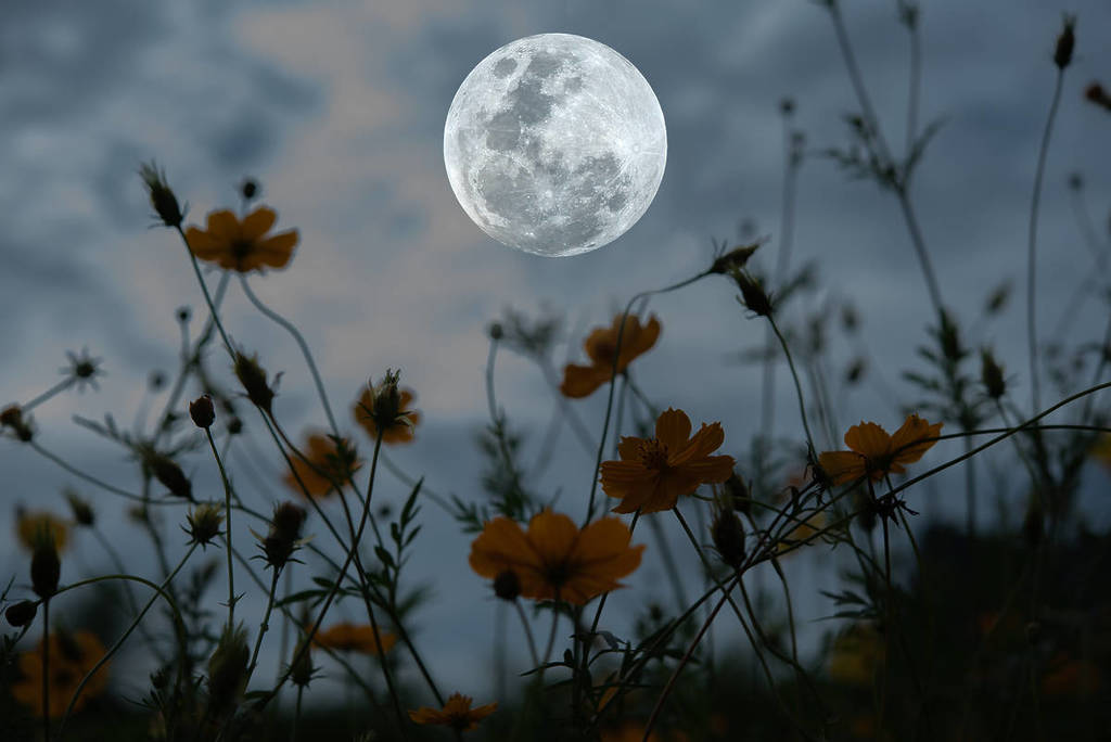 What Is The ‘Snow Moon’? Explaining The Lunar Sight That Will Light Up The Sky This Week