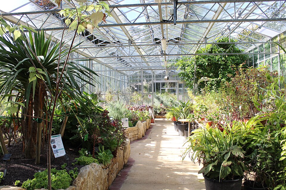 inside the greenhouse at bristol's botanic garden