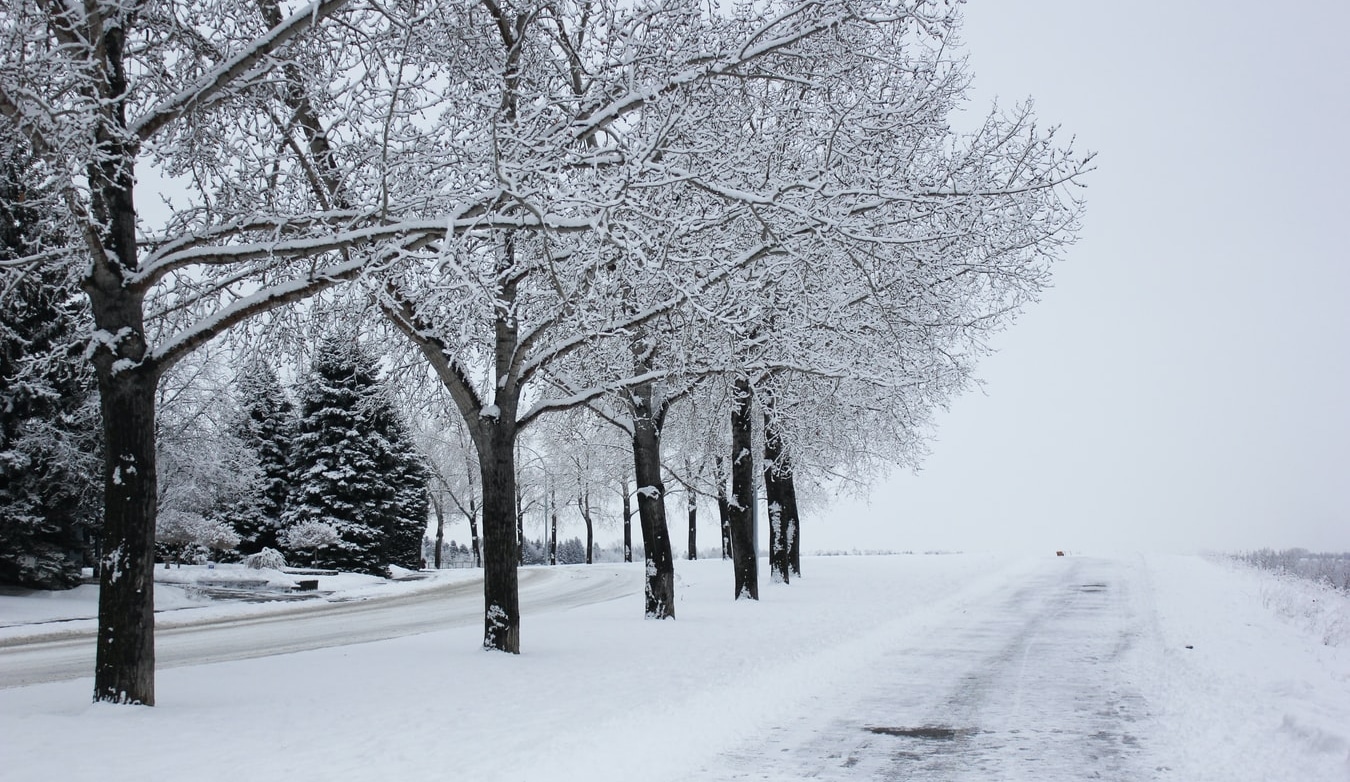 Heavy Snow & Freezing Temperatures To Hit Calgary This Weekend Secret